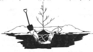 посадка с комом