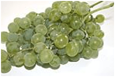 ВОСТОРГ БЕЛЫЙ