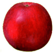 Слава Победителям